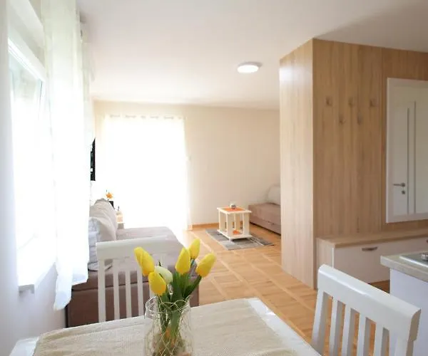 Apartman Vrnjacki Raj